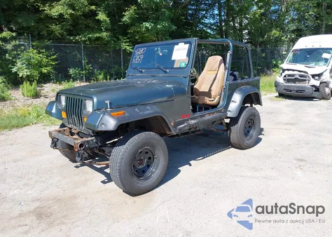 1993 Jeep Wrangler / Yj из США, поврежденный, VIN 1J4FY29S1PP254069
